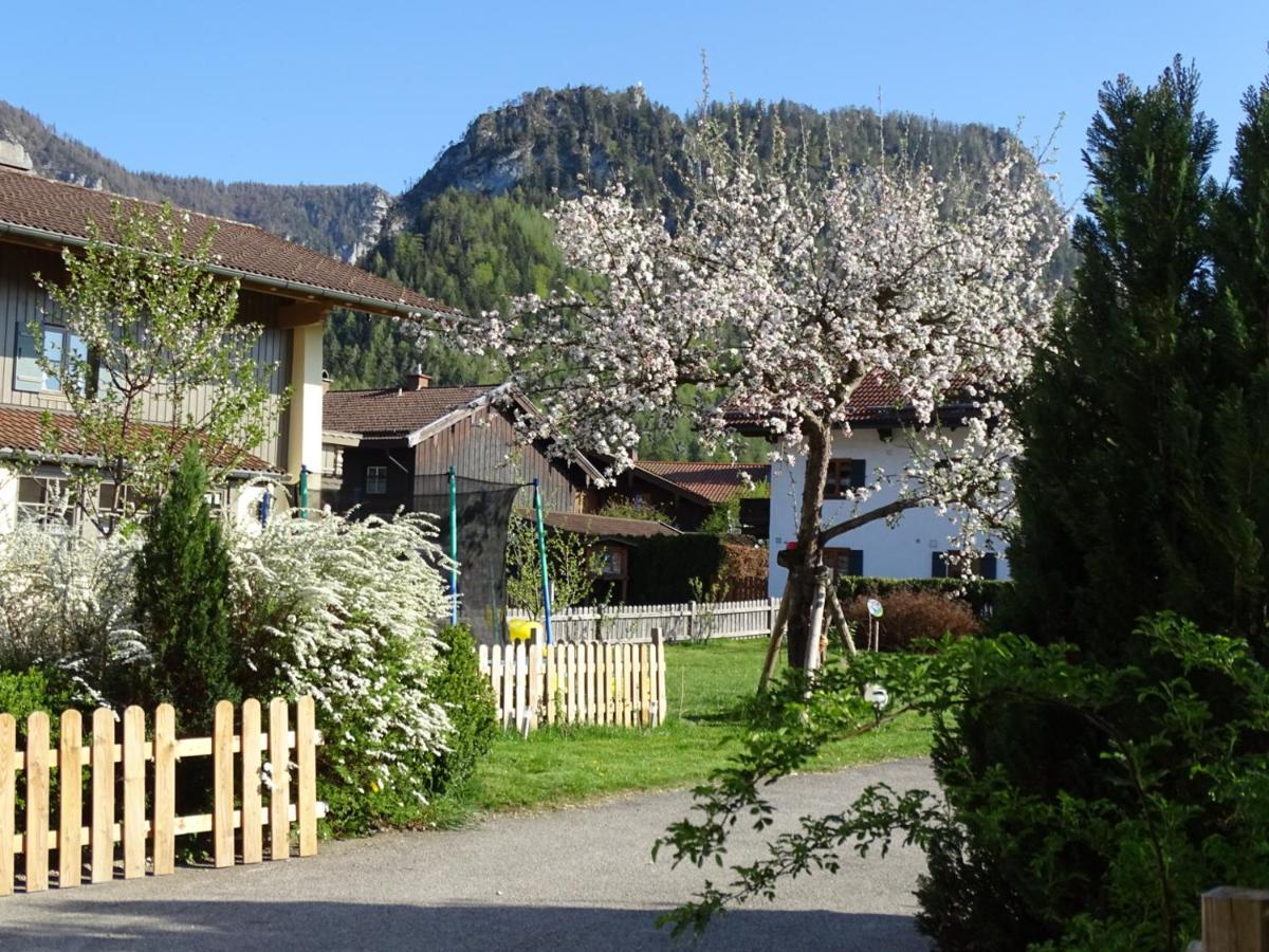 Ferienwohnung Anna Inzell Dış mekan fotoğraf