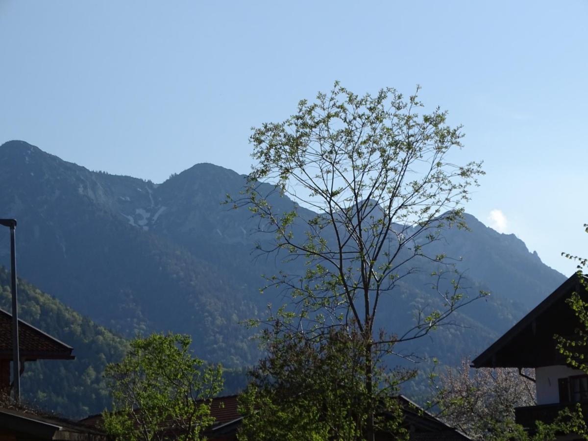 Ferienwohnung Anna Inzell Dış mekan fotoğraf