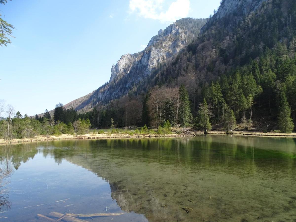 Ferienwohnung Anna Inzell Dış mekan fotoğraf